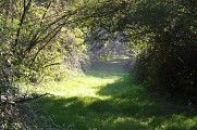 Chemin de Lamarque