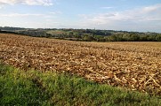 Vue sur la Chalosse