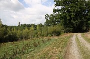 Vue