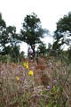 Prairies à Bidalot