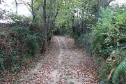 Sentier boisé à Lacrouzade