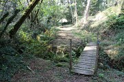 Passerelle