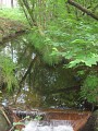 Ruisseau du Bez