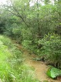 Ruisseau de Coulin