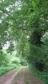 Chemin