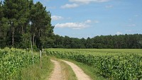 Plateau cultivé