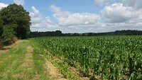 Plaine alluviale