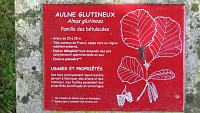 Borne botanique
