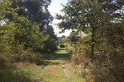 Chemin