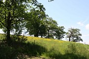 Paysage bocager