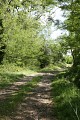 Chemin d'Artigole