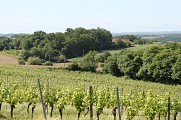 Paysage chalossais