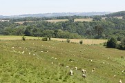 Paysage chalossais