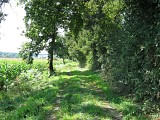 Chemin Henri IV