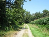 Chemin