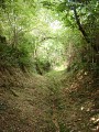 Chemin