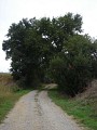 Chemin