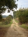 Chemin