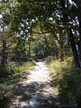 Chemin