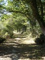 Chemin à Caluchet