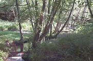 Ruisseau de Nauton
