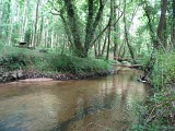 Site de Lamoulasse