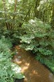 Ruisseau le Launet