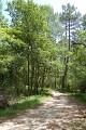 Chemin