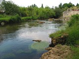 La Douze