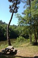 Etang de Mouneyres