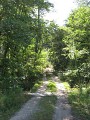 Chemin