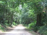 Voie Verte du Marsan et de l'Armagnac