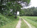 Chemin