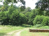 Chemin