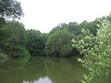 Etang