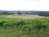 Vignobles
