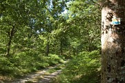 Chemin
