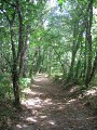 Chemin
