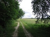 Chemin 
