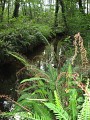 Ruisseau de Labaout