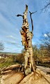 arbre sculpté Colmen