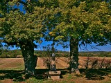 Calvaire, Coutures