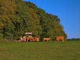 Les coteaux d'Albestroff