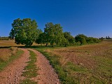 Les coteaux d'Albestroff