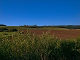 Entre vergers et forêts