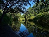 Warndtweiher