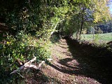 Circuit n°4: Chemin de Boscol