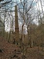 Le moulin de Venot