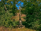 Calvaire ou croix de chemin