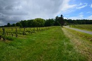 Buzet, un port entre Canal et Baïse